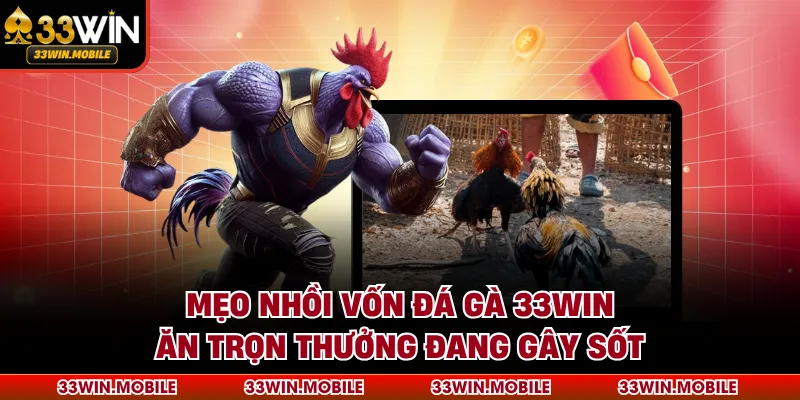 Mẹo Nhồi Vốn Đá Gà 33WIN Ăn Trọn Thưởng Đang Gây Sốt