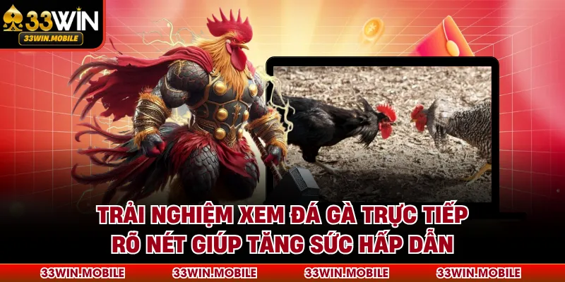 Trải nghiệm xem đá gà trực tiếp rõ nét giúp tăng sức hấp dẫn